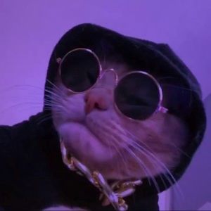 Meet your Posher, Max